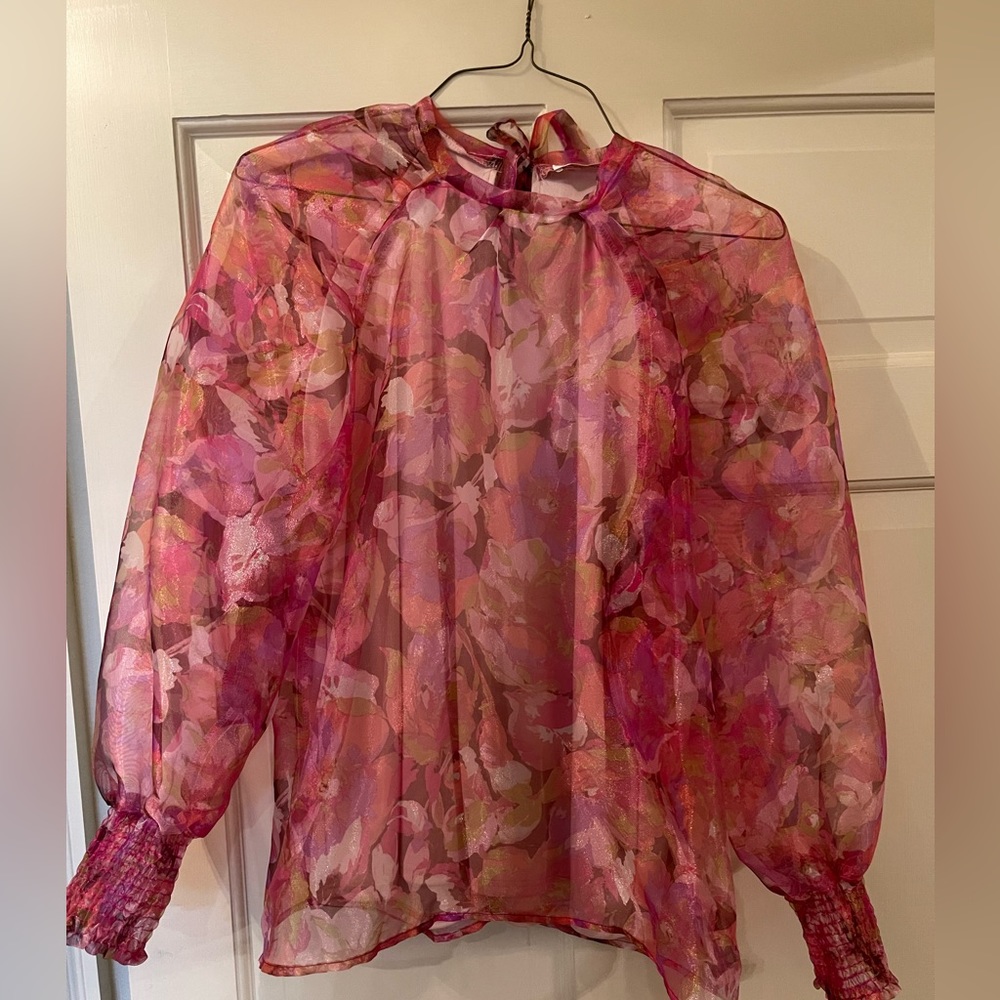 Karlie long sleeve sheer floral blouse